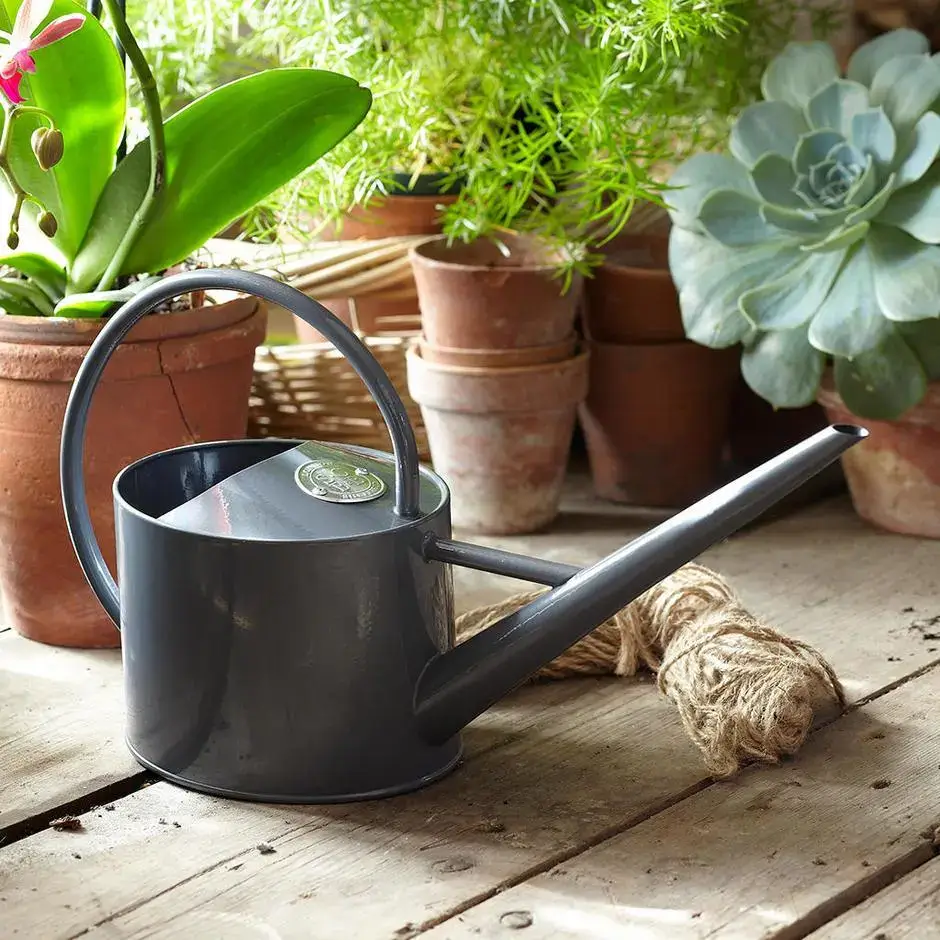 Indoor Watering Can